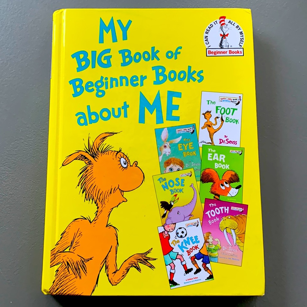 My BIG Book of Beginner Books about ME